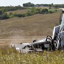 Green Bay Roadside Brush Cutting Services